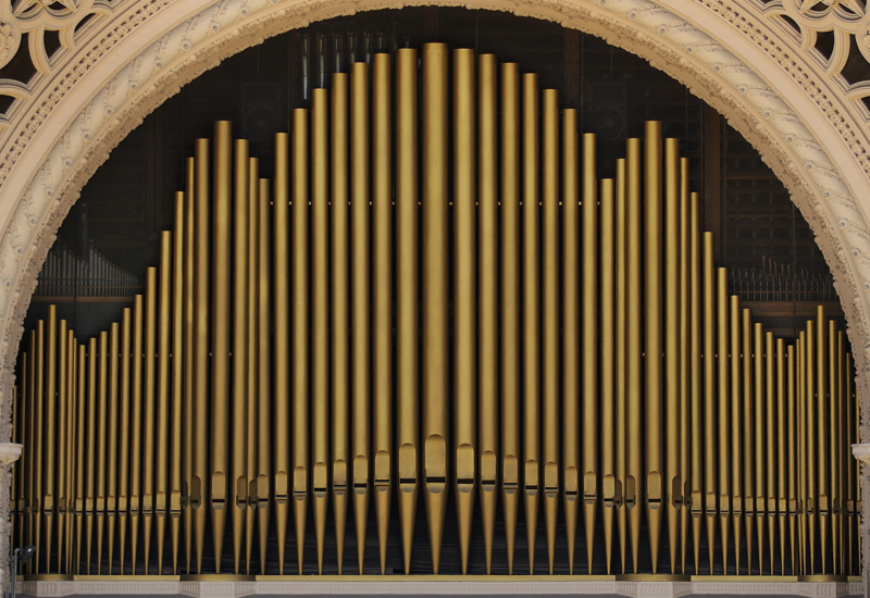 Organ Pipes