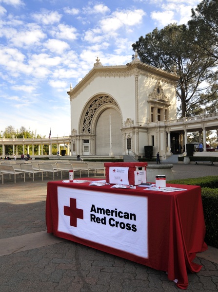 Red Cross Table