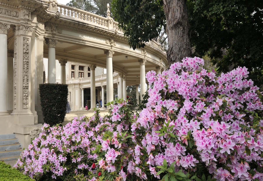 Pavilion with flowers