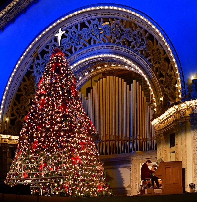 Christmas Story Tree