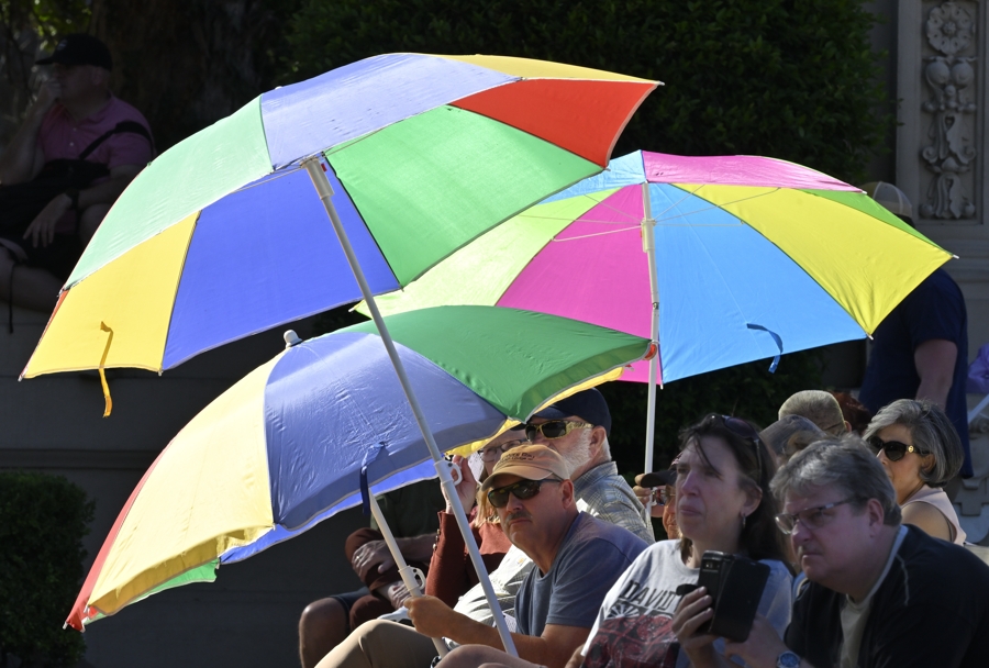 Umbrellas at the Pavilion