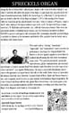 _h8 Prog pg2