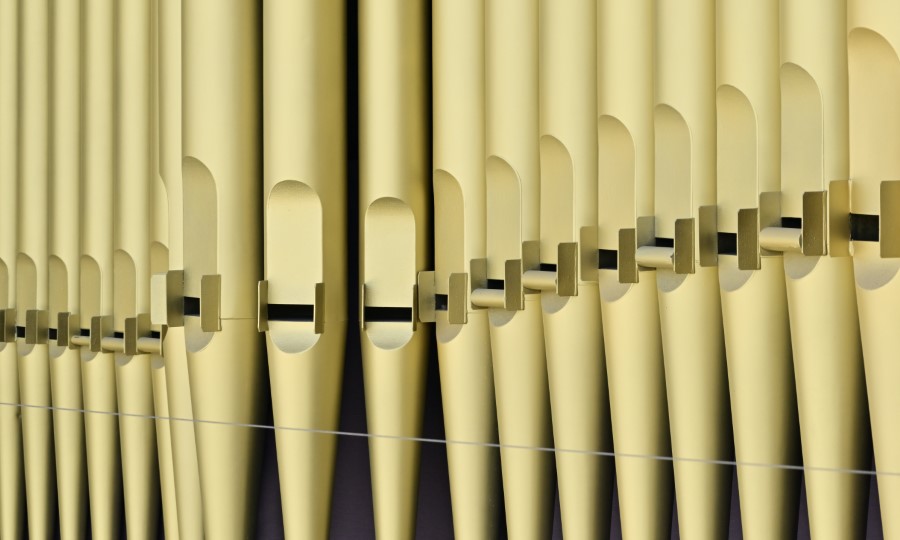 _d6 Z8L0915J_